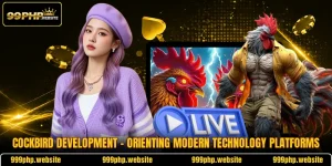 Cockbird Development - Orienting Modern Technology Platforms