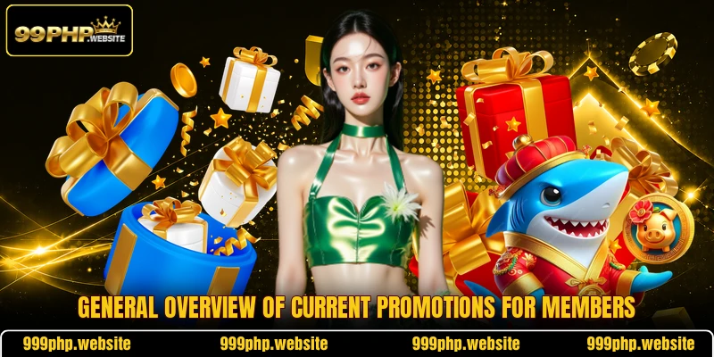 General overview of current promotions for members