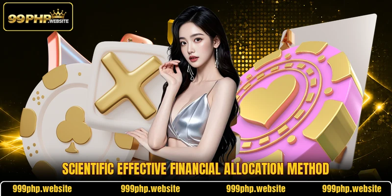 Scientific effective financial allocation method