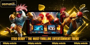 Stag Derby - The Most Thrilling Entertainment Trend