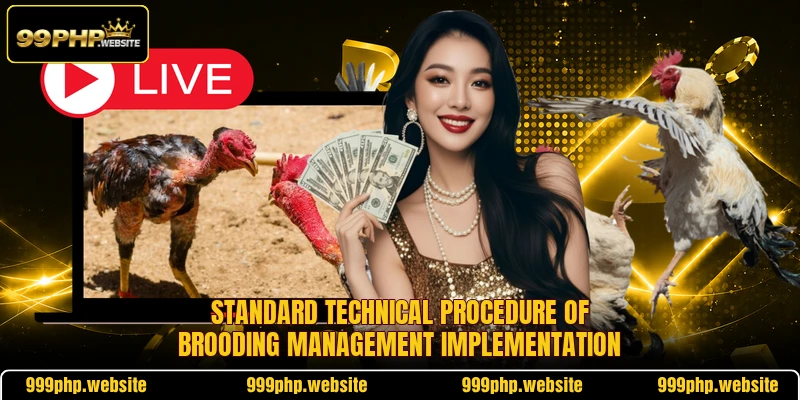 Standard technical procedure of brooding management implementation